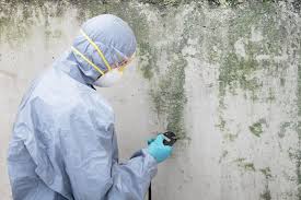 Mold Remediation for Vacation Homes in Prudhoe Bay, AK